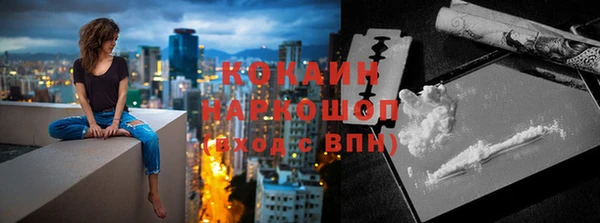 гидра Усмань