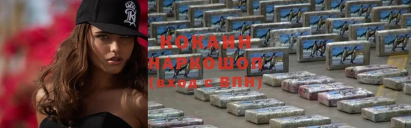 гидра Усмань