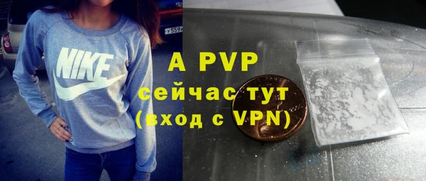 гидра Усмань