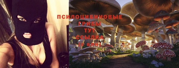 гидропоника Фурманов