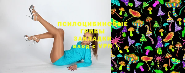 PSILOCYBIN Усинск