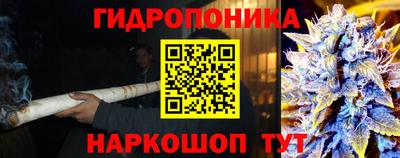 ПСИЛОЦИБИНОВЫЕ ГРИБЫ Гусь-Хрустальный