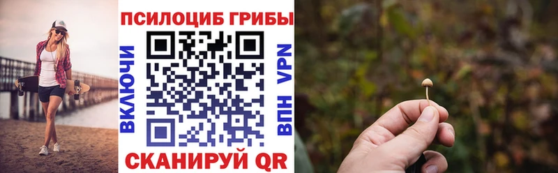 Галлюциногенные грибы Cubensis блэк спрут Биробиджан